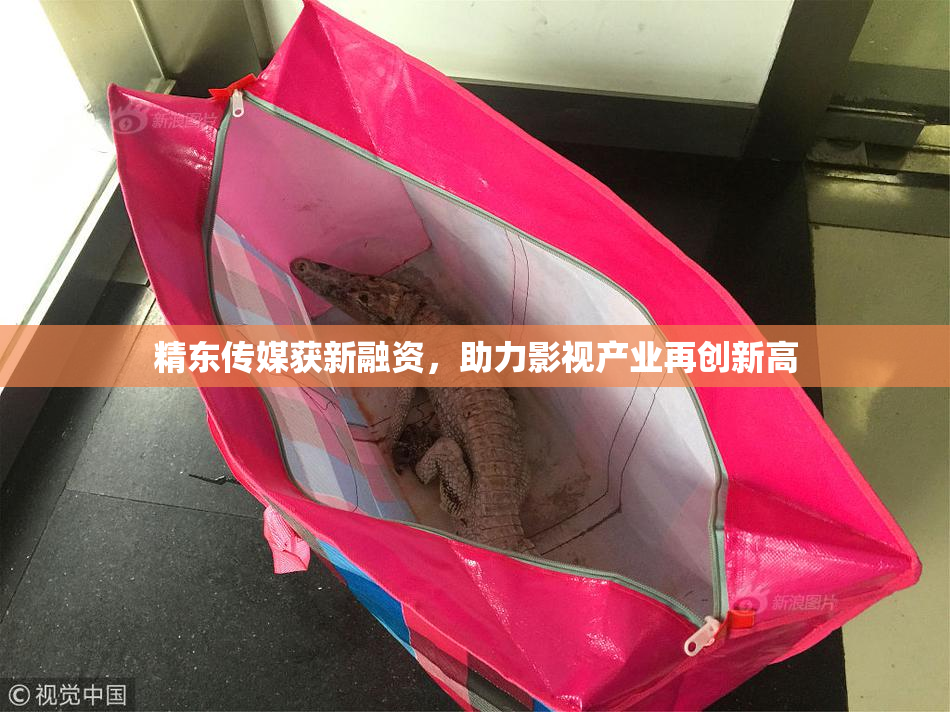 精东传媒获新融资，助力影视产业再创新高