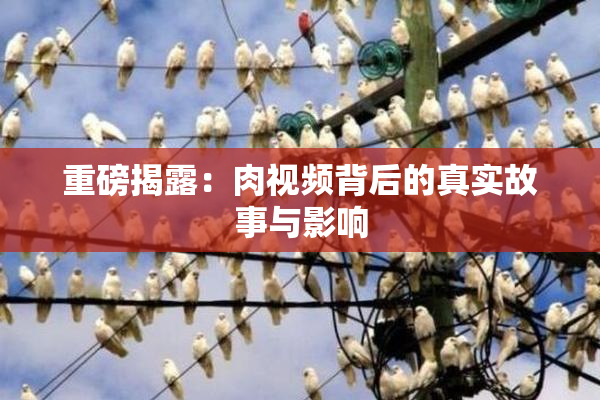 重磅揭露：肉视频背后的真实故事与影响