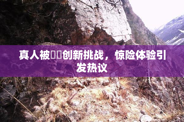 真人被❌‌创新挑战，惊险体验引发热议
