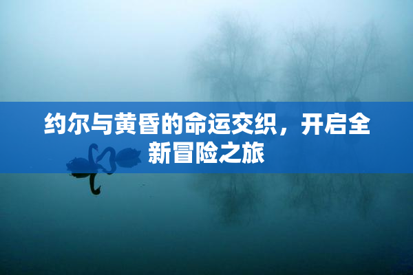 约尔与黄昏的命运交织，开启全新冒险之旅