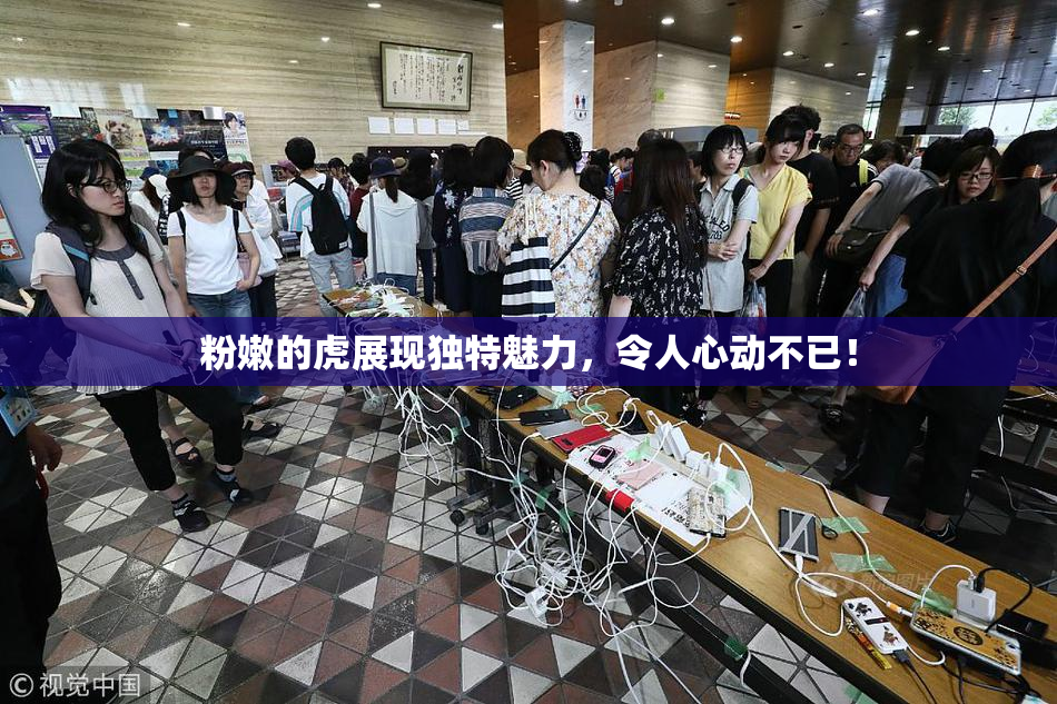 粉嫩的虎展现独特魅力，令人心动不已！