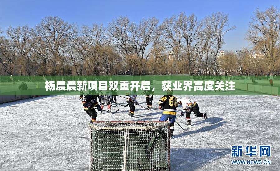 杨晨晨新项目双重开启，获业界高度关注