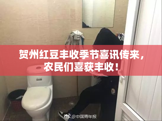 贺州红豆丰收季节喜讯传来，农民们喜获丰收！