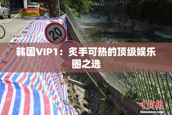 韩国VIP1：炙手可热的顶级娱乐圈之选