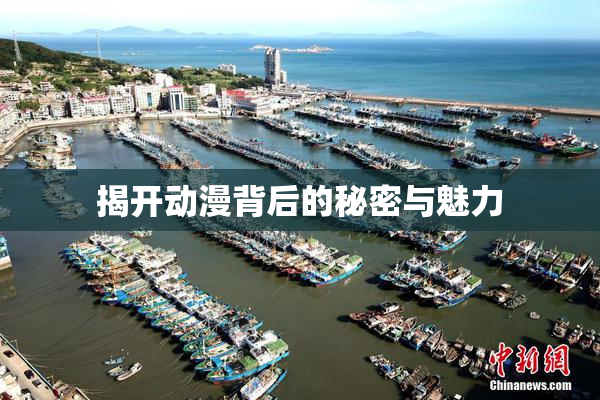 揭开动漫背后的秘密与魅力