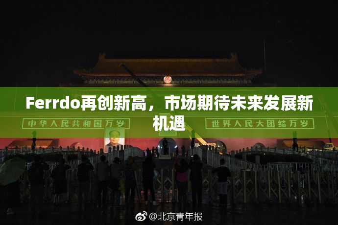 Ferrdo再创新高，市场期待未来发展新机遇