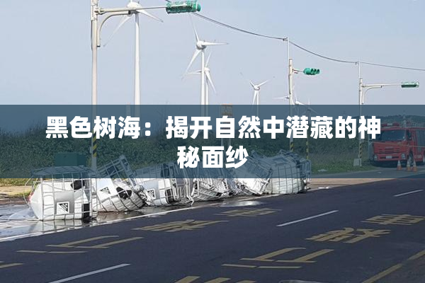 黑色树海：揭开自然中潜藏的神秘面纱