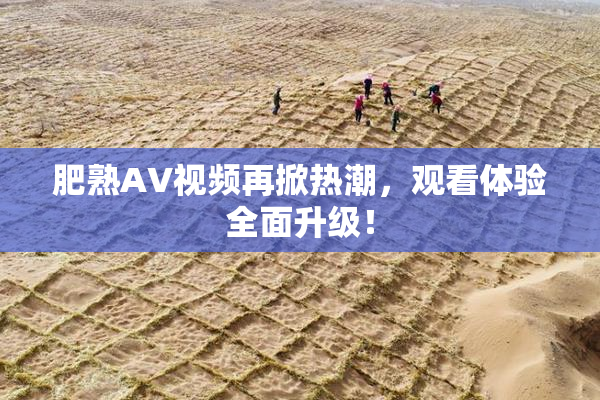肥熟AV视频再掀热潮，观看体验全面升级！