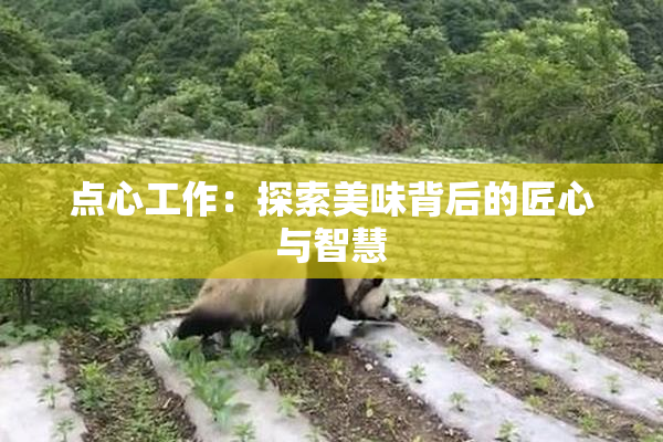 点心工作：探索美味背后的匠心与智慧