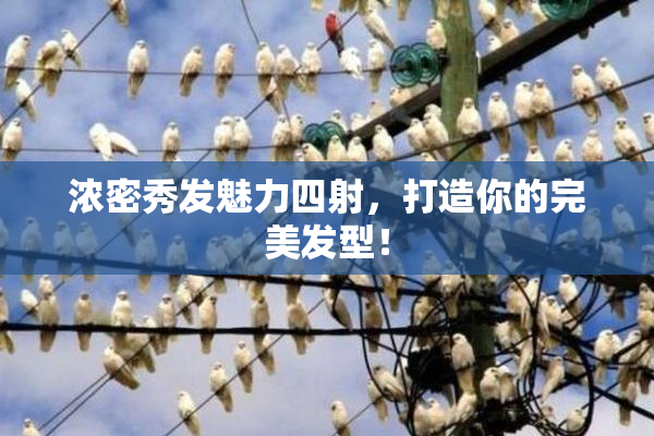 浓密秀发魅力四射，打造你的完美发型！