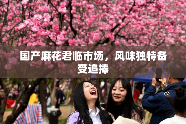 国产麻花君临市场，风味独特备受追捧