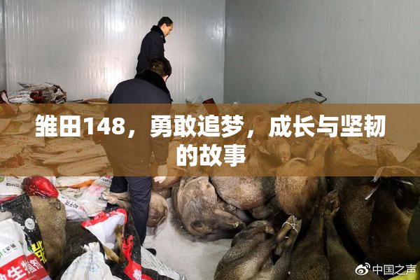 雏田148，勇敢追梦，成长与坚韧的故事