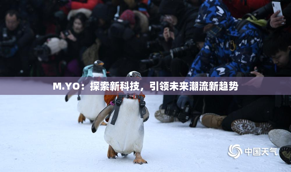 M.YO：探索新科技，引领未来潮流新趋势