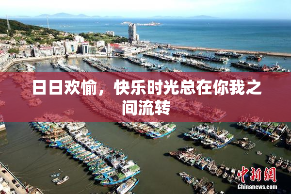 日日欢愉，快乐时光总在你我之间流转