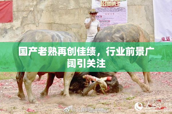 国产老熟再创佳绩，行业前景广阔引关注