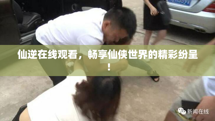 仙逆在线观看，畅享仙侠世界的精彩纷呈！
