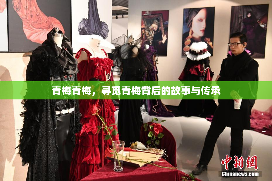 青梅青梅，寻觅青梅背后的故事与传承