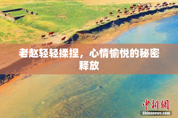 老赵轻轻揉捏，心情愉悦的秘密释放