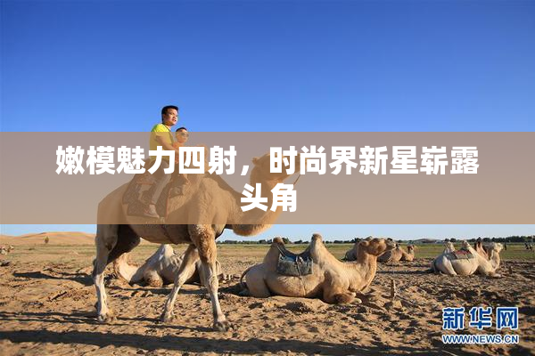 嫩模魅力四射，时尚界新星崭露头角