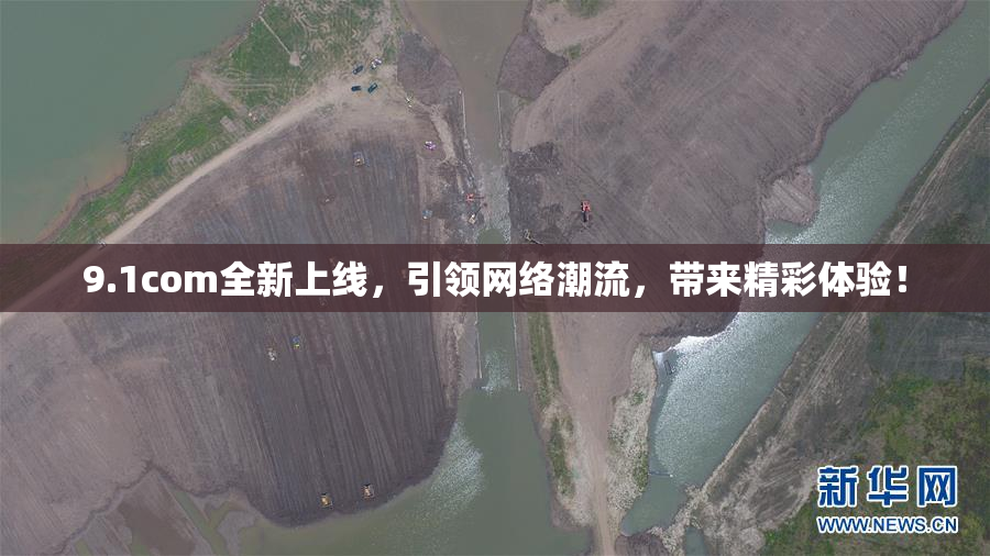 9.1com全新上线，引领网络潮流，带来精彩体验！