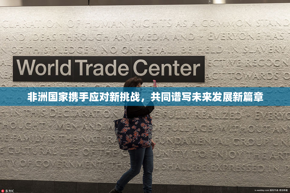非洲国家携手应对新挑战，共同谱写未来发展新篇章