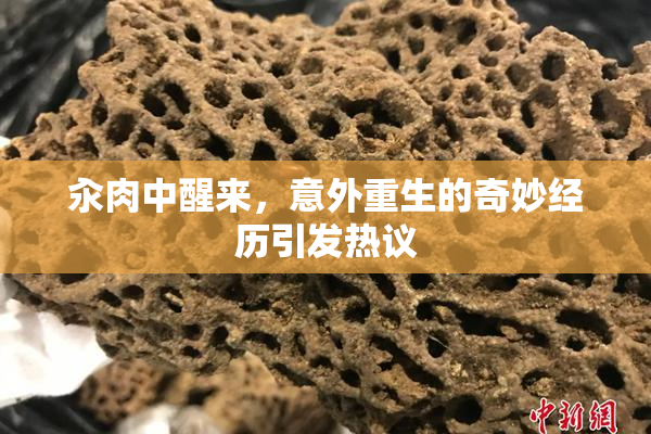 汆肉中醒来，意外重生的奇妙经历引发热议