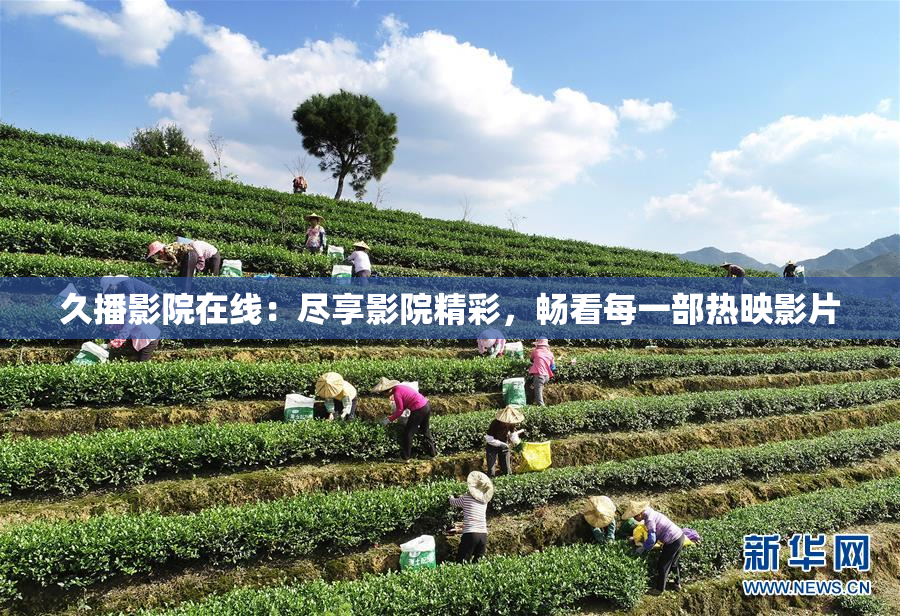 久播影院在线：尽享影院精彩，畅看每一部热映影片