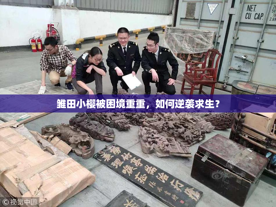 雏田小樱被困境重重，如何逆袭求生？