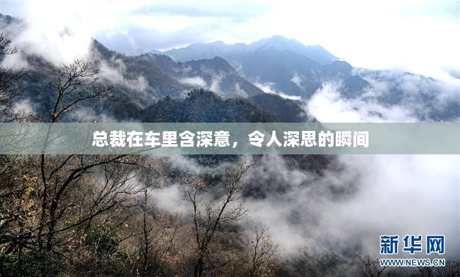 总裁在车里含深意，令人深思的瞬间