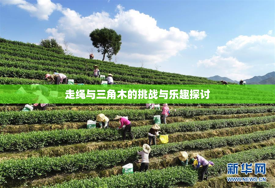 走绳与三角木的挑战与乐趣探讨