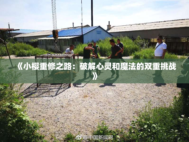 《小樱重修之路：破解心灵和魔法的双重挑战》
