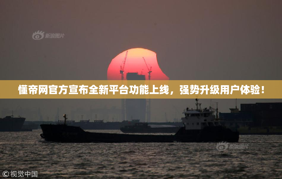 懂帝网官方宣布全新平台功能上线，强势升级用户体验！