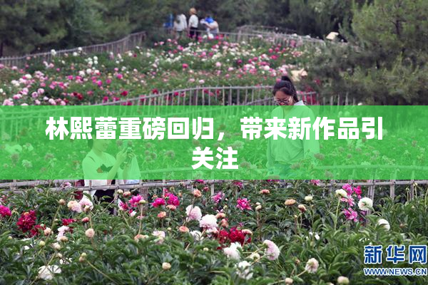 林熙蕾重磅回归，带来新作品引关注