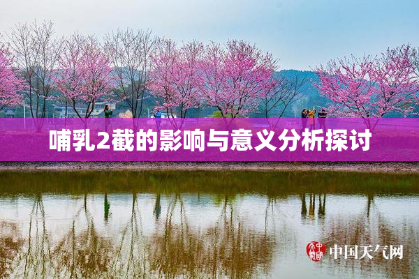 哺乳2截的影响与意义分析探讨
