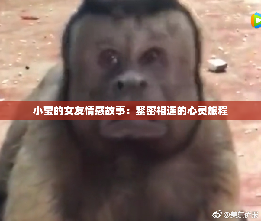 小莹的女友情感故事：紧密相连的心灵旅程