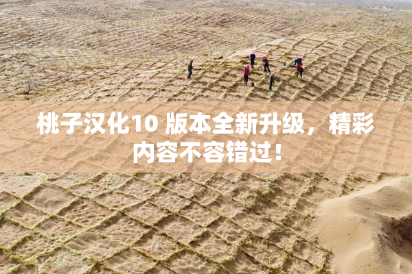 桃子汉化10 版本全新升级，精彩内容不容错过！