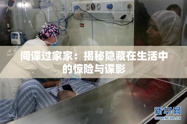 间谍过家家：揭秘隐藏在生活中的惊险与谍影