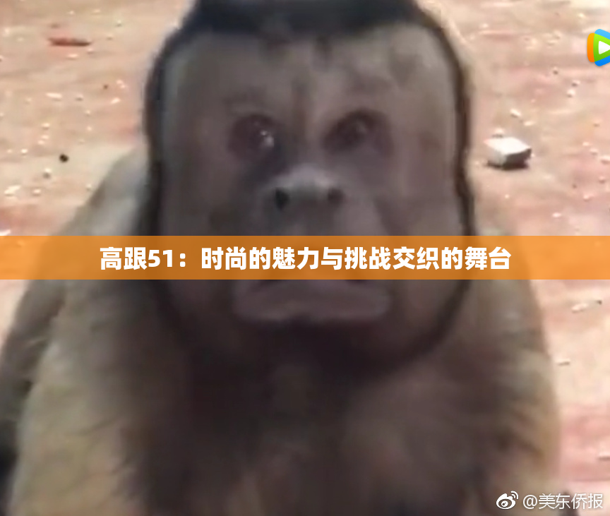 高跟51：时尚的魅力与挑战交织的舞台
