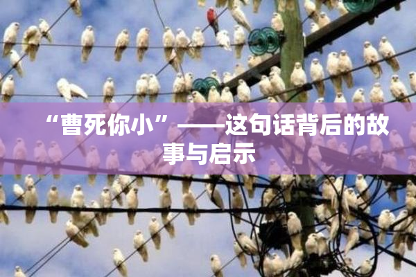 “曹死你小”——这句话背后的故事与启示