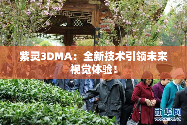 紫灵3DMA：全新技术引领未来视觉体验！