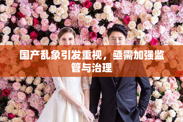 国产乱象引发重视，亟需加强监管与治理