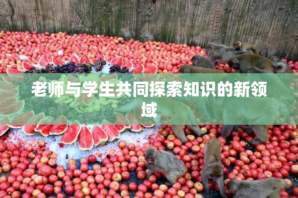 老师与学生共同探索知识的新领域