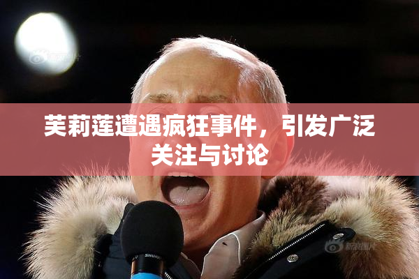 芙莉莲遭遇疯狂事件，引发广泛关注与讨论