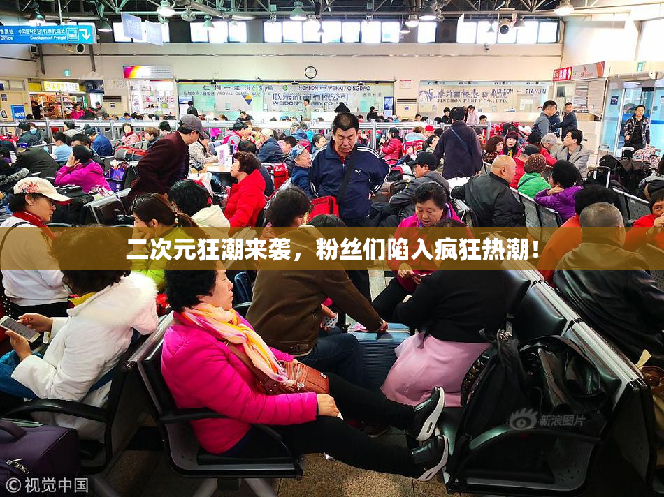 二次元狂潮来袭，粉丝们陷入疯狂热潮！