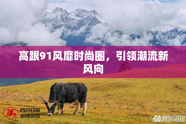 高跟91风靡时尚圈，引领潮流新风向