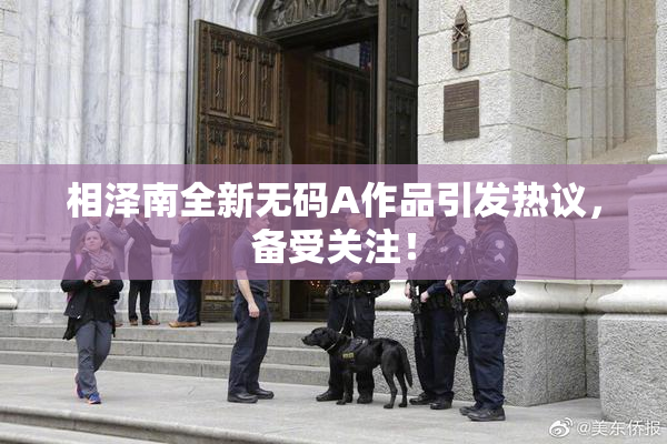 相泽南全新无码A作品引发热议，备受关注！