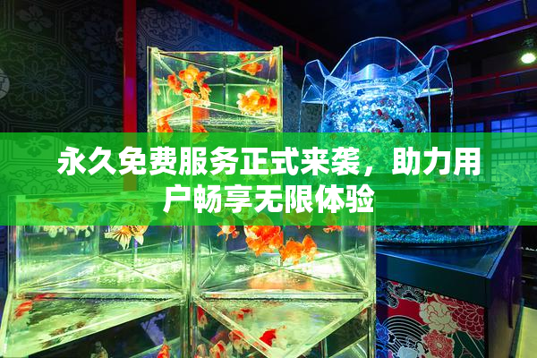 永久免费服务正式来袭，助力用户畅享无限体验