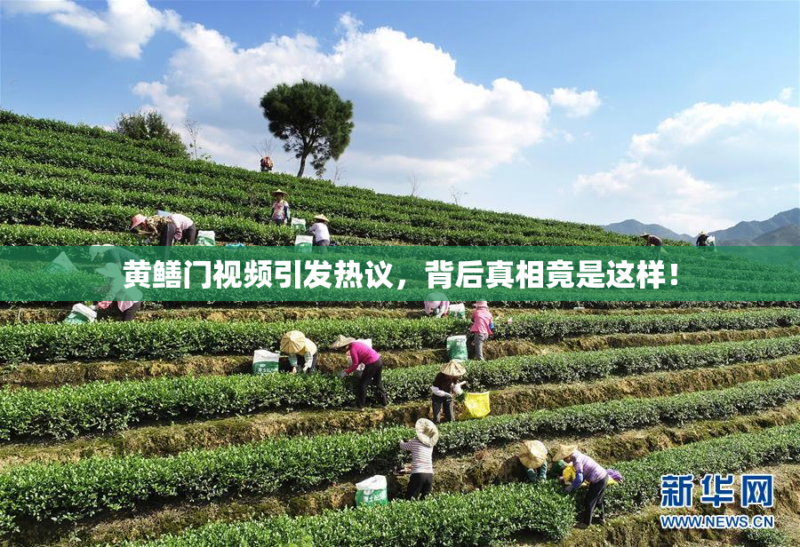 黄鳝门视频引发热议，背后真相竟是这样！