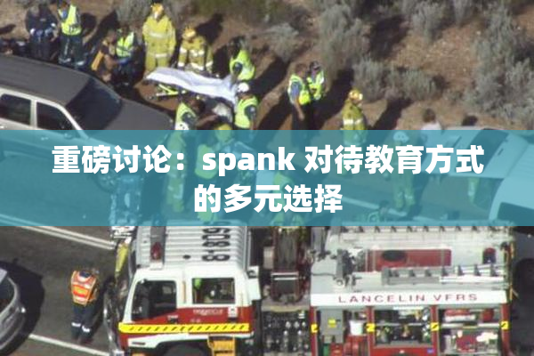 重磅讨论：spank 对待教育方式的多元选择