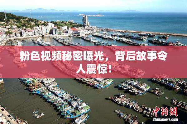 粉色视频秘密曝光，背后故事令人震惊！